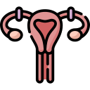 Laparoscopic / Open Tubectomy